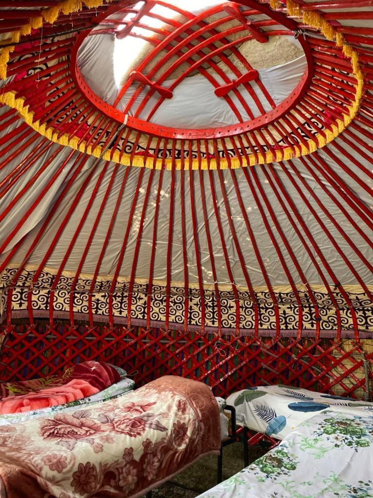 Zalkar Yurt Camp Hotel Song-Kul Bagian luar foto